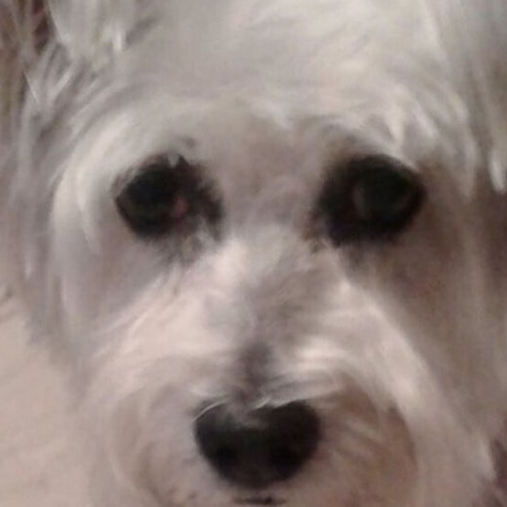 Meet your Posher, Sally